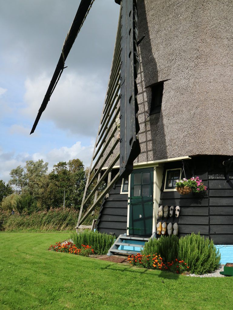 Molen D aan de Molenkade