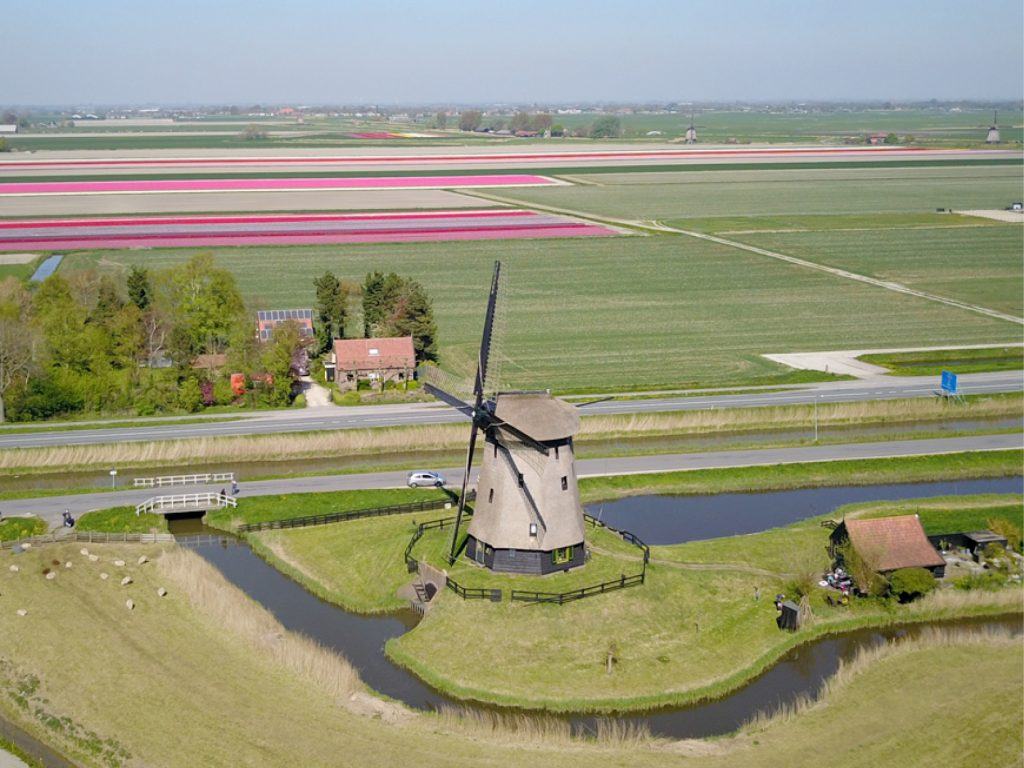 Ondermolen C Schermerhorn molendatabase