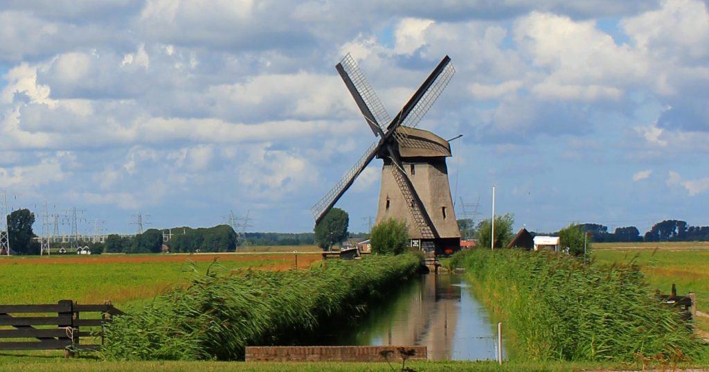 Poldermolen D Stompetoren foto Loes Brouwers