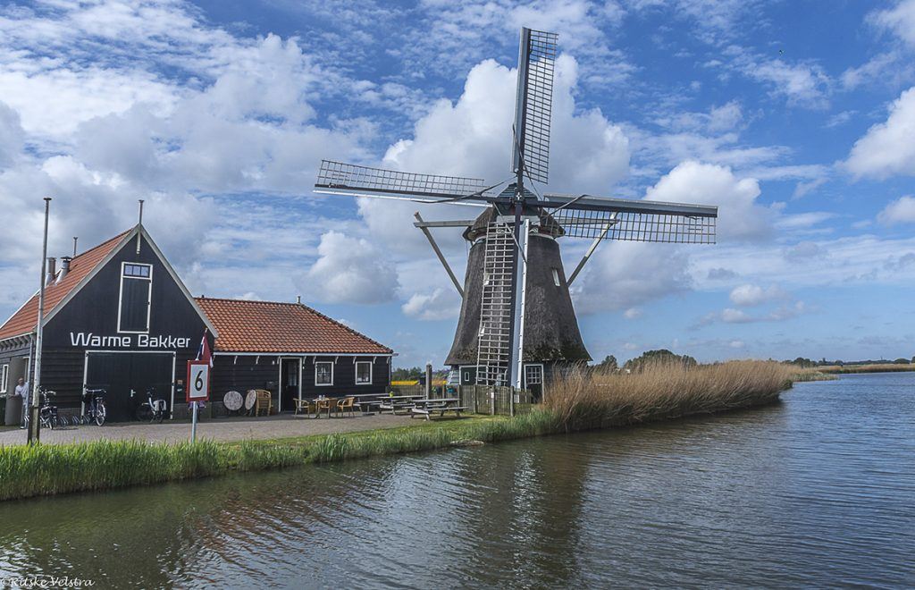 Korenmolen de otter -Oterleek