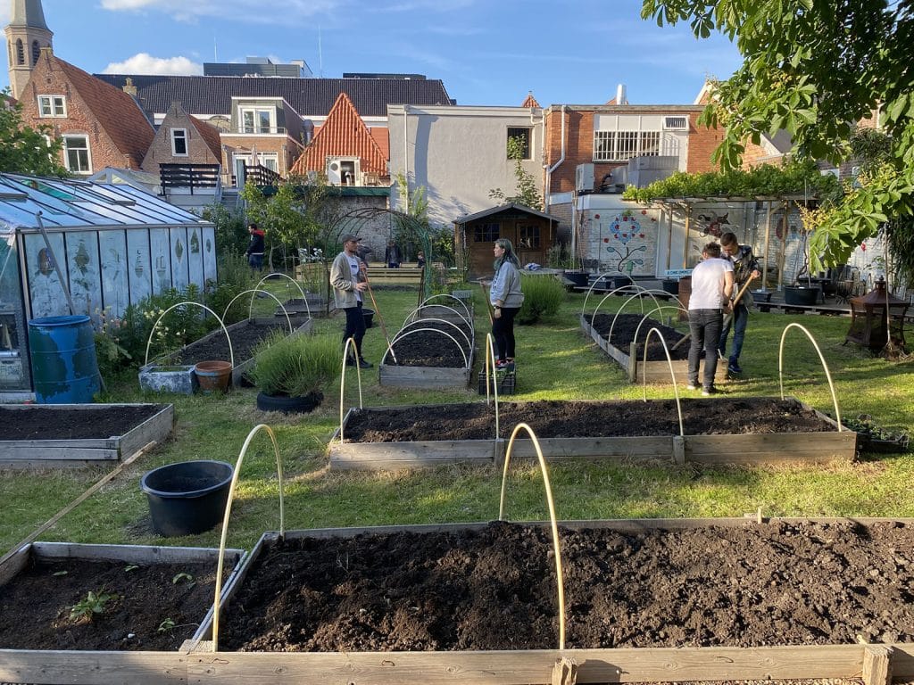 Alkmaekers de stadstuin van KopZorgwaar de pigmenten worden gekweekt