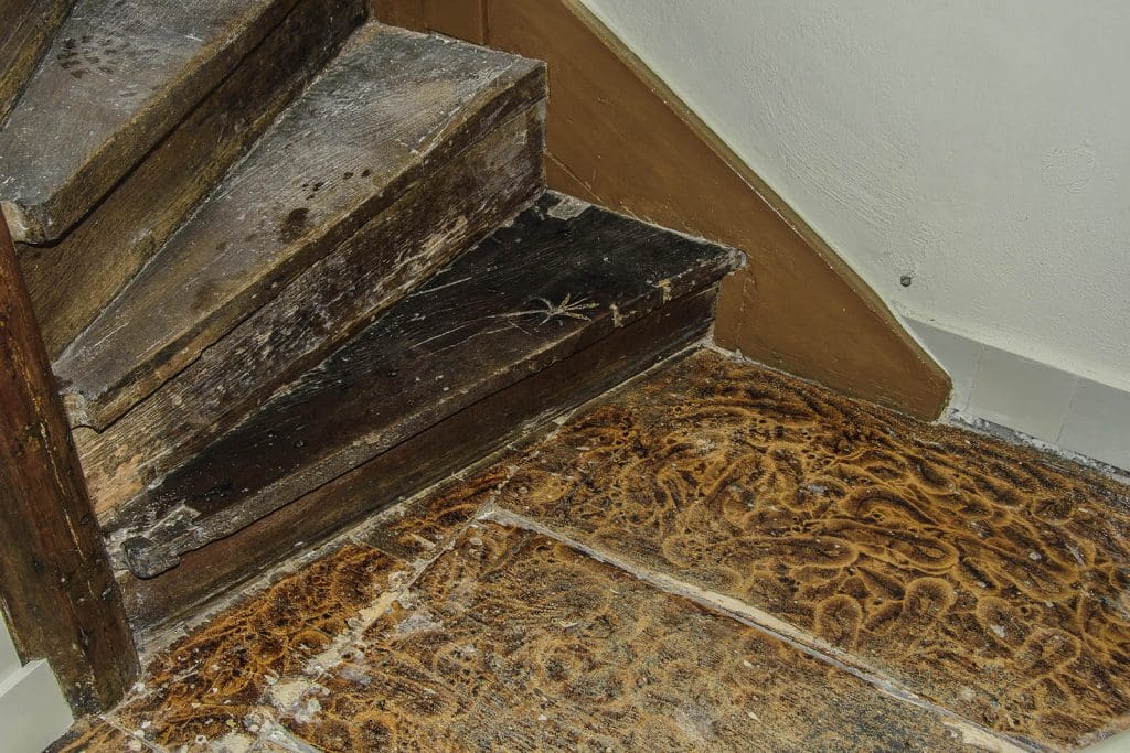 Voetjesvloer onderaan de trap in Raadhuis Grootschermer