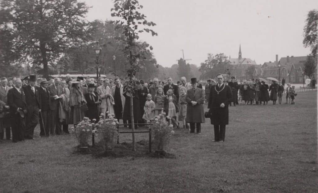Planten van "Julianaboom" in de Bergerhout op 6 september 1948. Ter gelegenheid van de troonsbestijging van Koningin Juliana werd een boom "de Julianaboom" geplant in de Bergerhout op 6 september 1948. Op de foto een groep genodigden met rechts (met ambtsketen) Burgemeester Wytema. Op de achtergrond de St. Josephkerk en de molen van Piet.