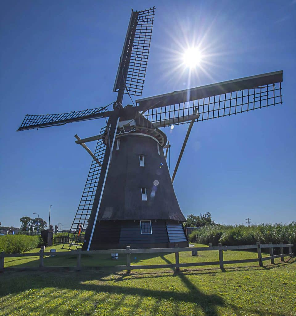 Korenmolen de Otter in Oterleek