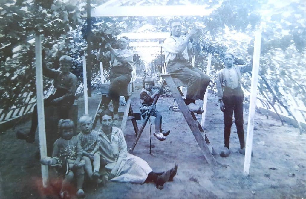 De familie Blankendaal in de druivenserre aan De Omval omstreeks 1930.