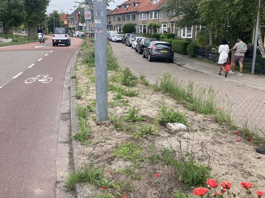 Grenspaaltje in de berm van de Frieseweg, vlak bij de Friesebrug.