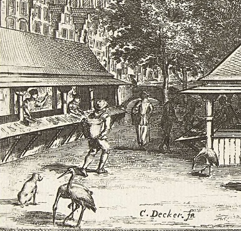 Ooievaar op een vismarkt als schoonmaker. In Alkmaar had de ooievaar zelfs een ambtsketen om.