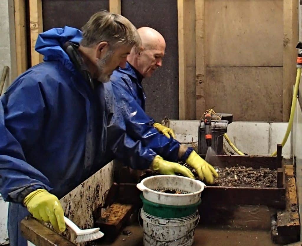 Sjaak Waterlander en Kees Tiebie zeven resten uit een beerput