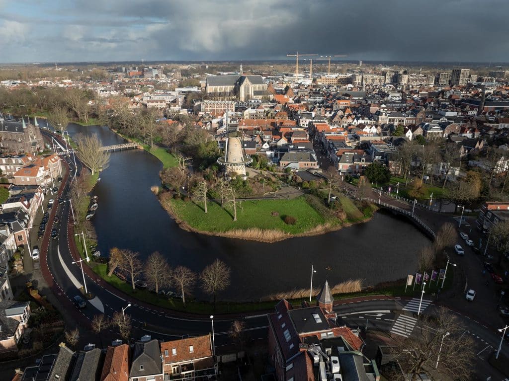 Bovenaanzicht van de net gesnoeide bomen zonder blad voor de Molen van Piet. Je ziet de Grote Kerk op de achtergrond. En de hijskranen in Overstad waar gebouwd wordt. Foto Erik Boschman 2025.