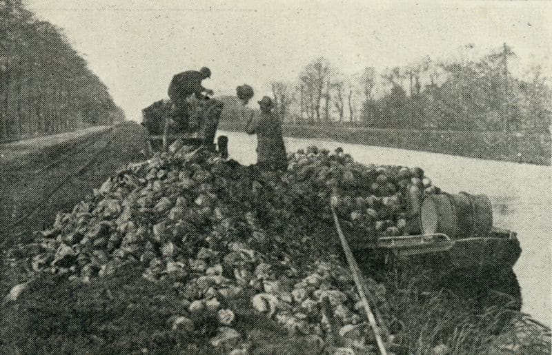 Smer koolschuit bij De Omval