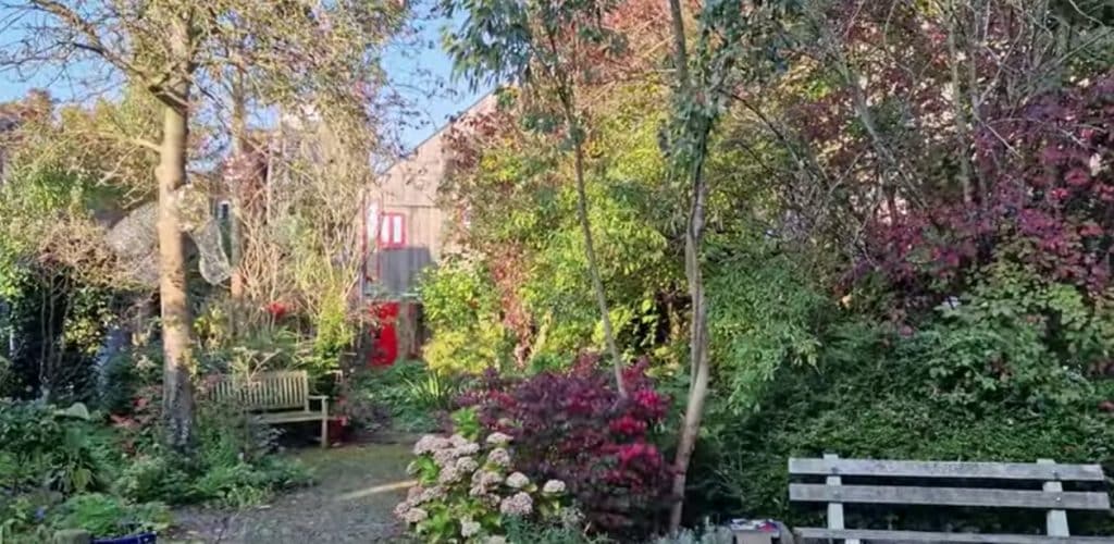 Tuin en huis in de wijk De Vier Vierkanten in Alkmaar Noord