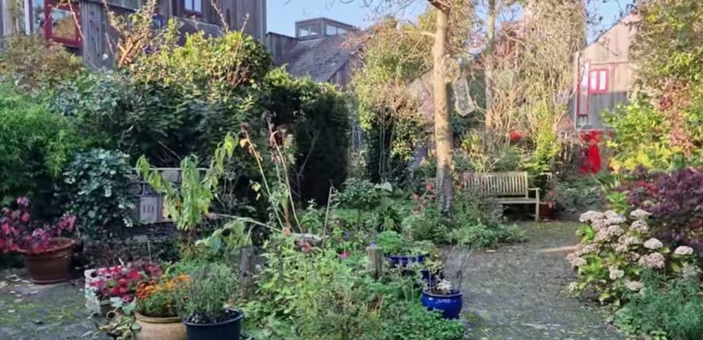 Tuin en huizen in de wijk De Vier Vierkanten in Alkmaar Noord