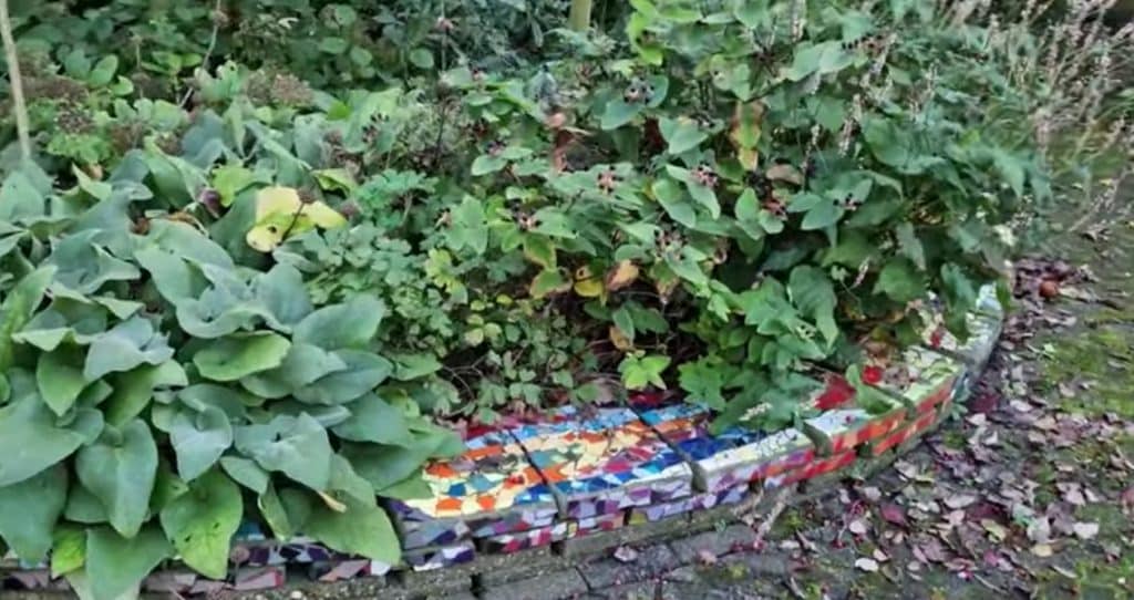 Tuin in de wijk De Vier Vierkanten in Alkmaar Noord
