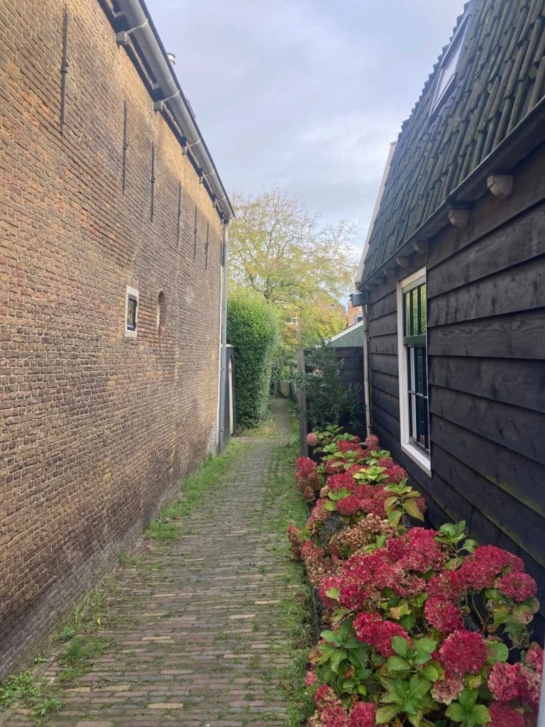 raampje in de vorm van een druppel in de zijgevel van Kerkstraat 10 in De Rijp.