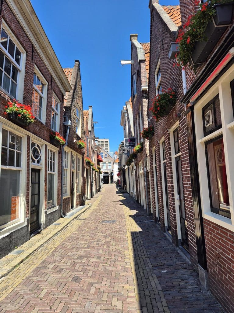 Achterdam in de zon. Foto GGD Hollands Noorden 2025.