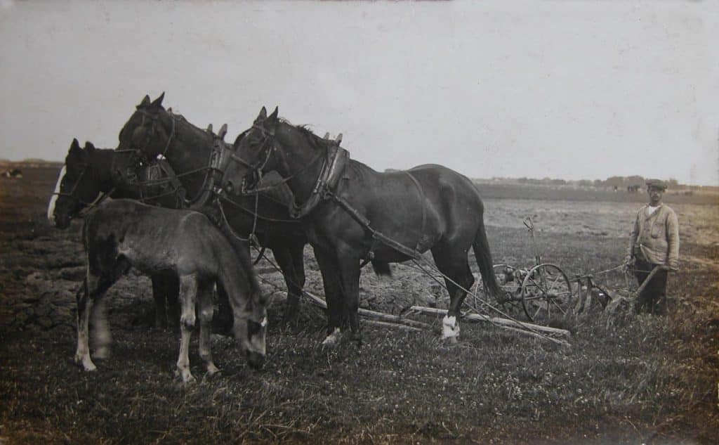 Landbouw en grondbewerking bij de Omval. Fotocollectie Van Veen