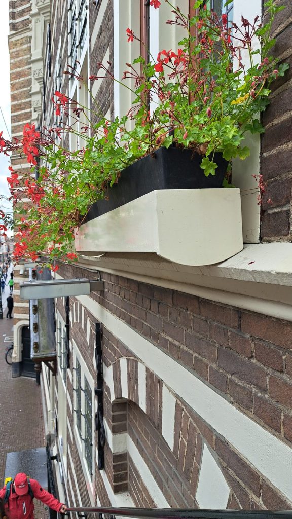 Geraniums aan het Stadhuis