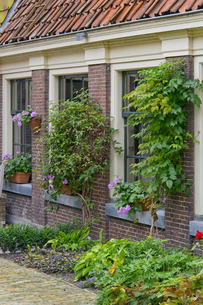 Detail van de tuin van het Huis van Achten Foto J Elsinga 2012
