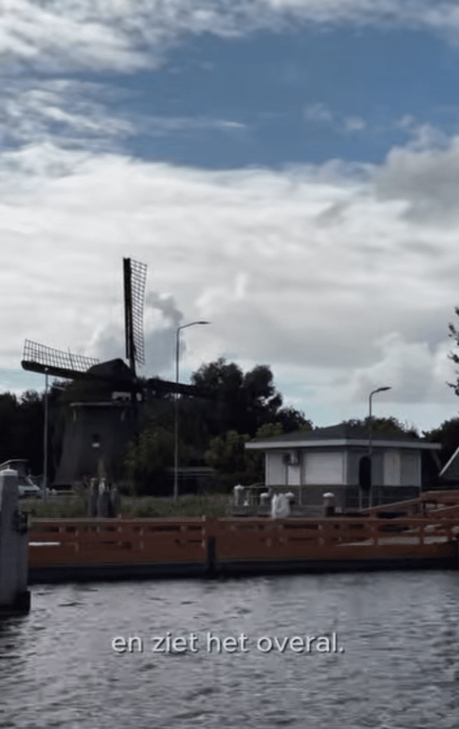 En ziet het overal
