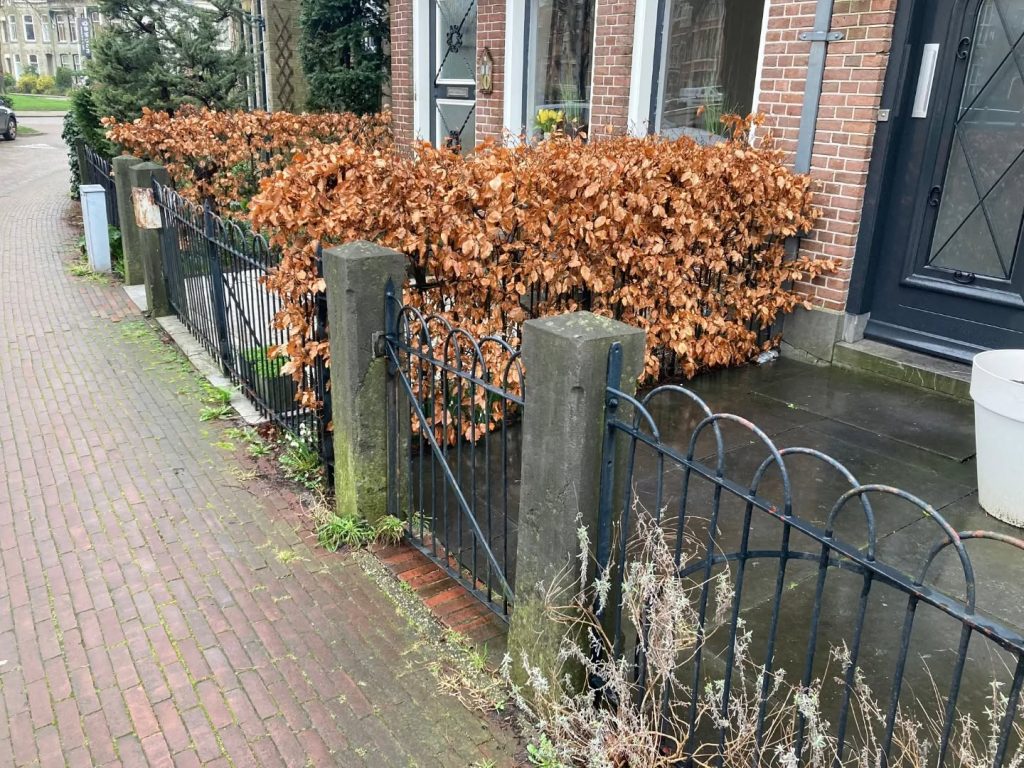 Een rijtje halfhoge tuinhekken in het Kennemerpark in Alkmaar