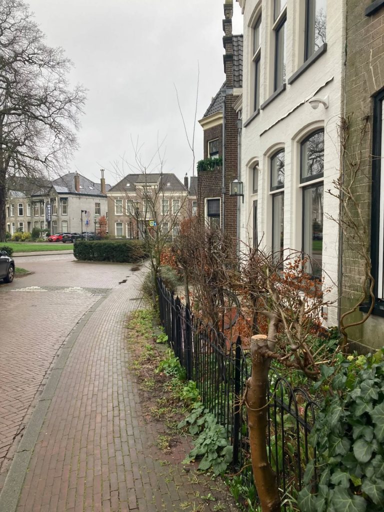 Herenhuizen met halfhoge tuinhekken in het Kennemerpark in Alkmaar