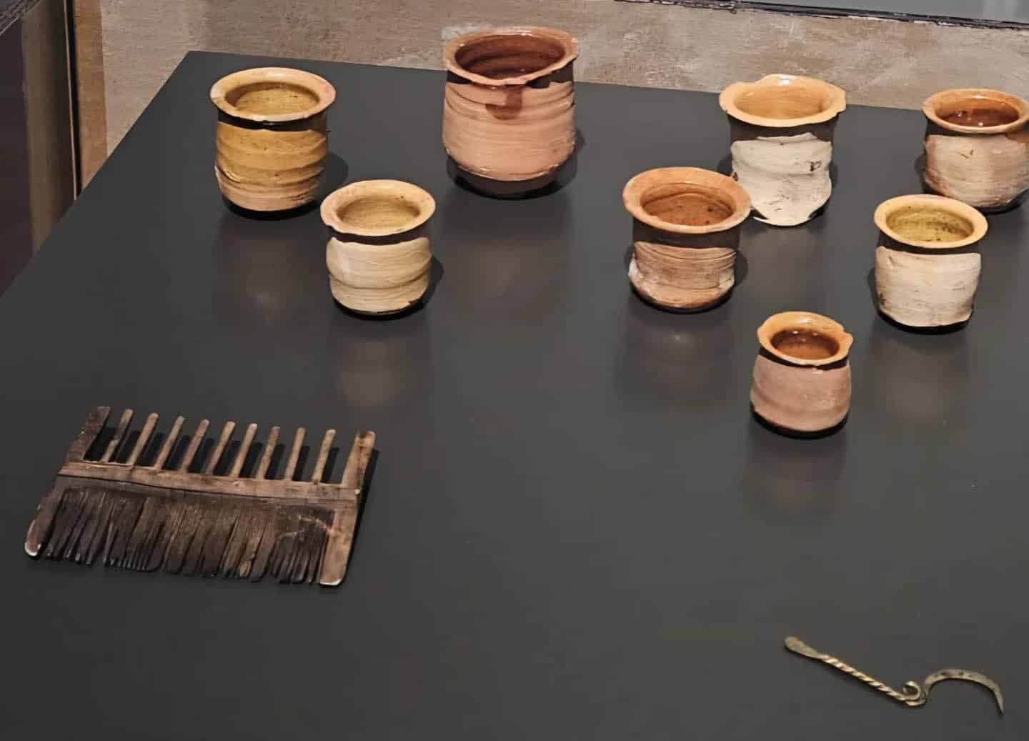 Luizenkam uit Alkmaar in het Rijksmuseum in Amsterdam