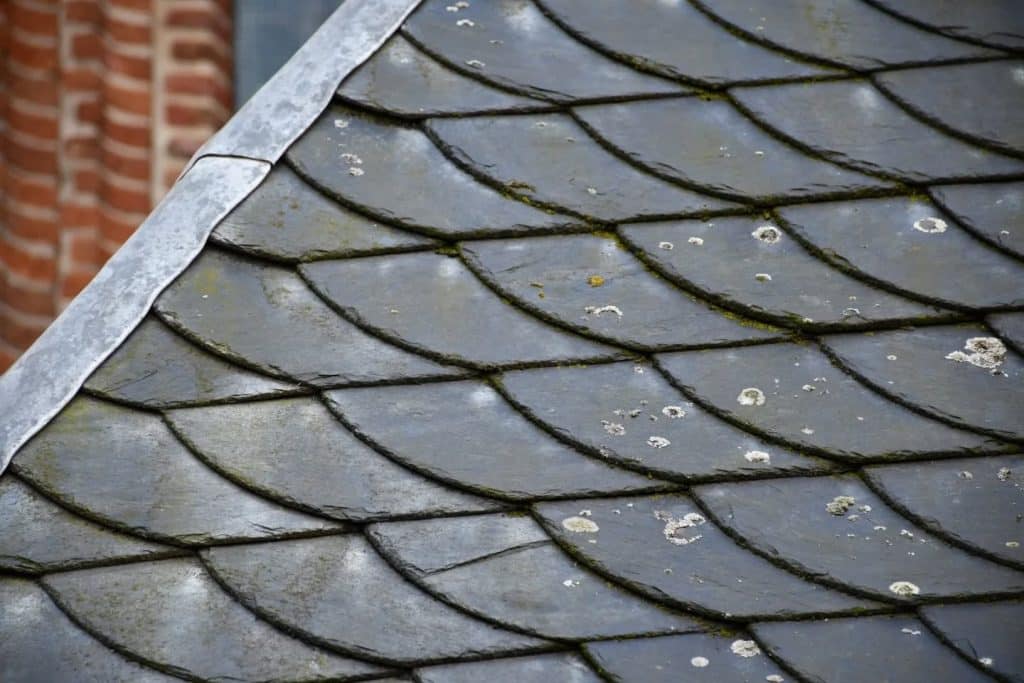 Leisteen uit het stroomgebied van de Rijn op het dak van de Grote Kerk in De Rijp