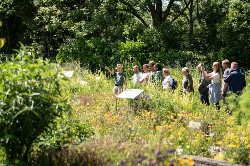 Hortus Alkmaar. Foto Erik Boschman.