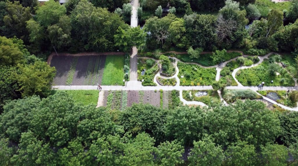 Hortus Alkmaar juni 2025. Foto Studio Renooij.