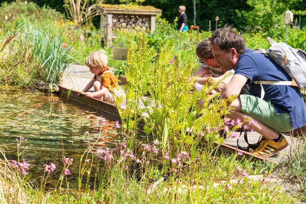 Hortus plantjesdag. Foto Hannie van Hardeveld.
