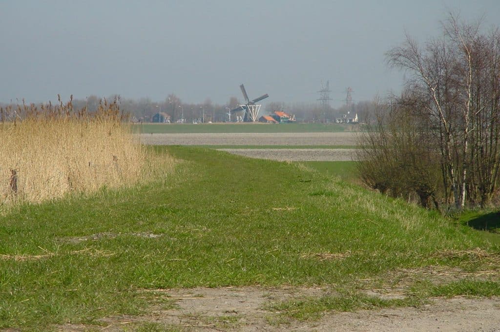 Doorkijkje naar molen de Otter bij Oterleek. Foto J. Heddes.
