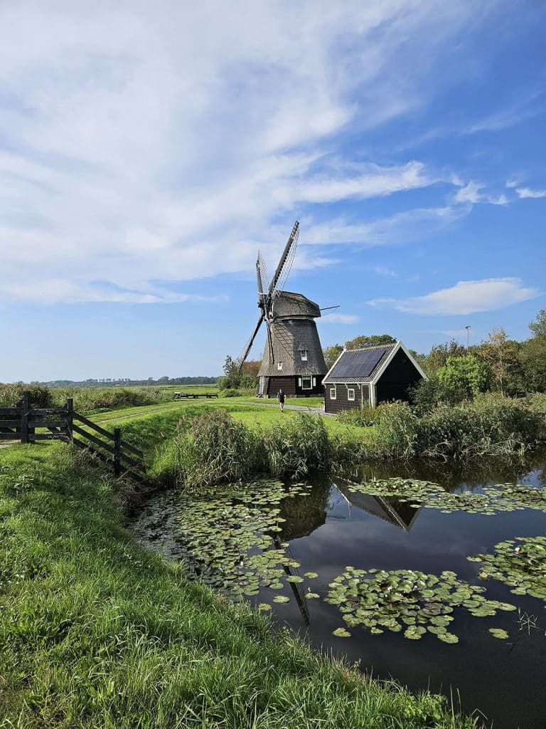 Molen