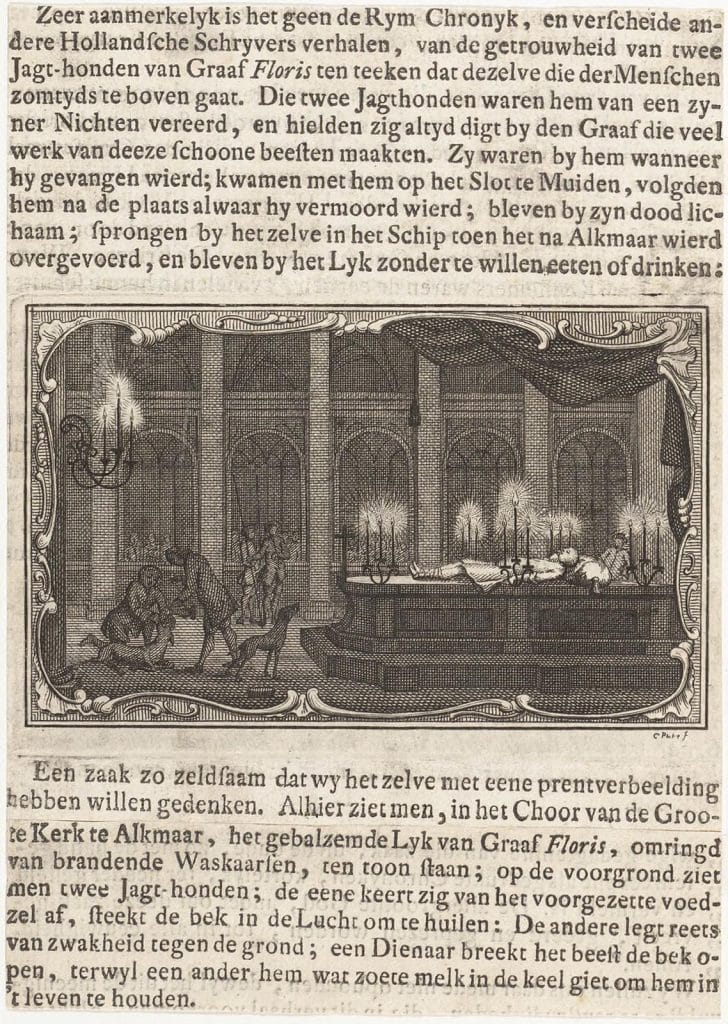 Boven en onder de afbeelding de volgende tekst: "Zeer aanmerkelijk is het geen de Rijm Chronijk, en verscheide andere Hollandsche schrijvers verhalen, van de getrouwheid van twee jagt-honden van graaf Floris ten teeken dat dezelve die der menschen zomtijds te boven gaat. Die twee jagthonden waren hem van een zijner nichten vereerd, en hielden zig altijd digt bij den graaf die veel werk van deeze schoone beesten maakten. Zij waren bij hem wanneer hij gevangen wierd; kwamen met hem op het slot te Muiden, volgden hem na de plaats alwaar hij vermoord wierd; bleven bij zijn dood lichaam; sprongen bij hetzelve in het schip toen het na Alkmaar wierd overgevoerd, en bleven bij het lijk zonder te willen eeten of drinken: Een zaak zo zeldsaam dat wij hetzelve met eene prentverbeelding hebben willen gedenken. Alhier ziet men, in het choor van de groote kerk te Alkmaar, het gebalzemde lijk van graaf Floris, omringd van brandende waskaarsen, ten toon staan; op de voorgrond ziet men twee jagt-honden; de een keert zig van het voorgezette voedzel af, steekt de bek in de lucht om te huilen: De andere legt reets van zwakheid tegen de grond; een dienaar breekt het beest de bek open, terwijl een ander hem wat zoete melk in de keel giet om hem in 't leven te houden."